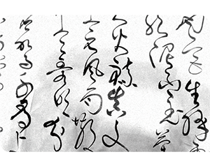华华老师作品