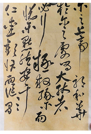 华华老师作品